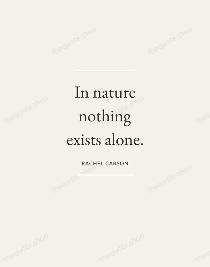 In nature nothing exists alone. — Rachel Carson — Gallery Frame