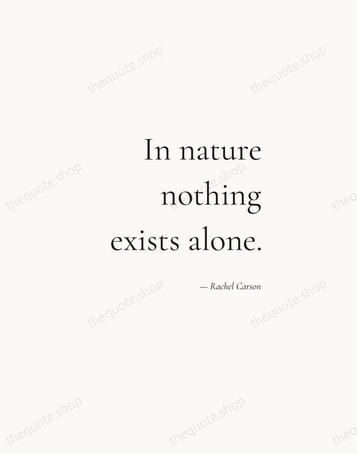 In nature nothing exists alone. — Rachel Carson — Soft Serif Right