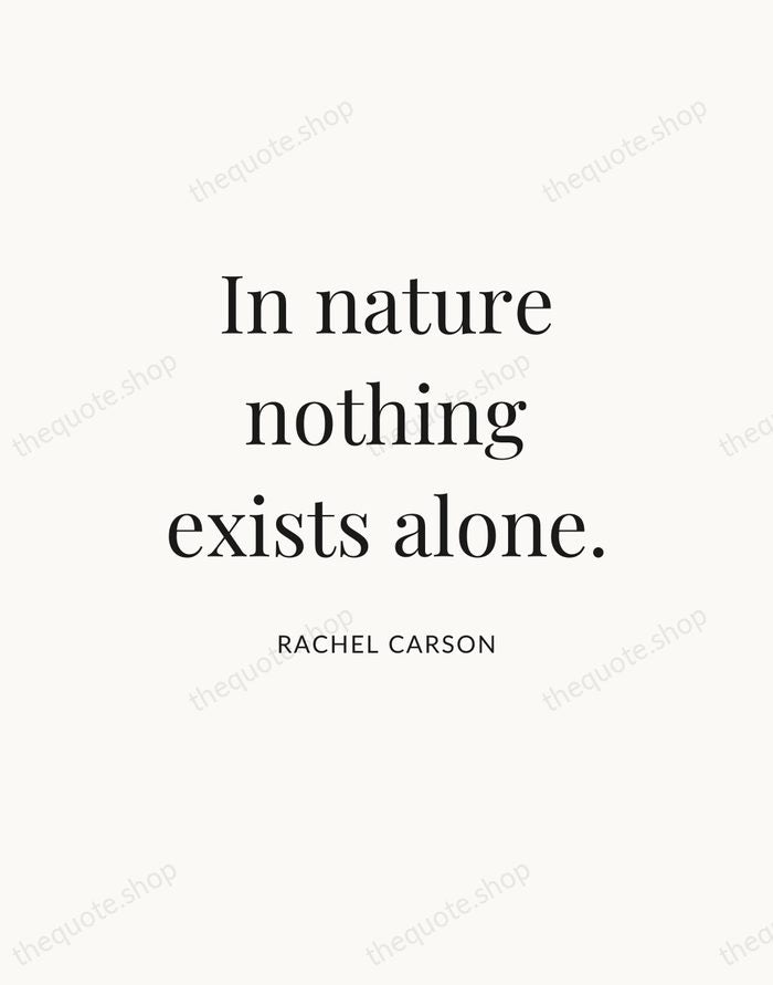 In nature nothing exists alone. — Rachel Carson — Statement Serif