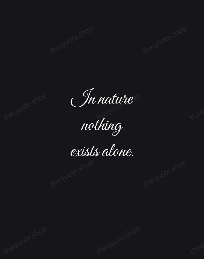 In nature nothing exists alone. — Rachel Carson — Night Script