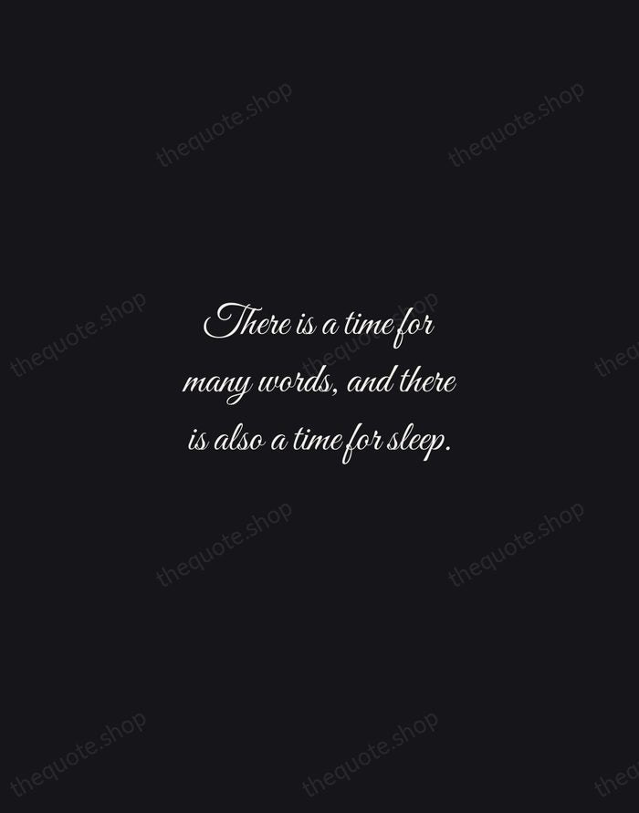 There is a time for many words, and there is also a… — Homer — Night Script