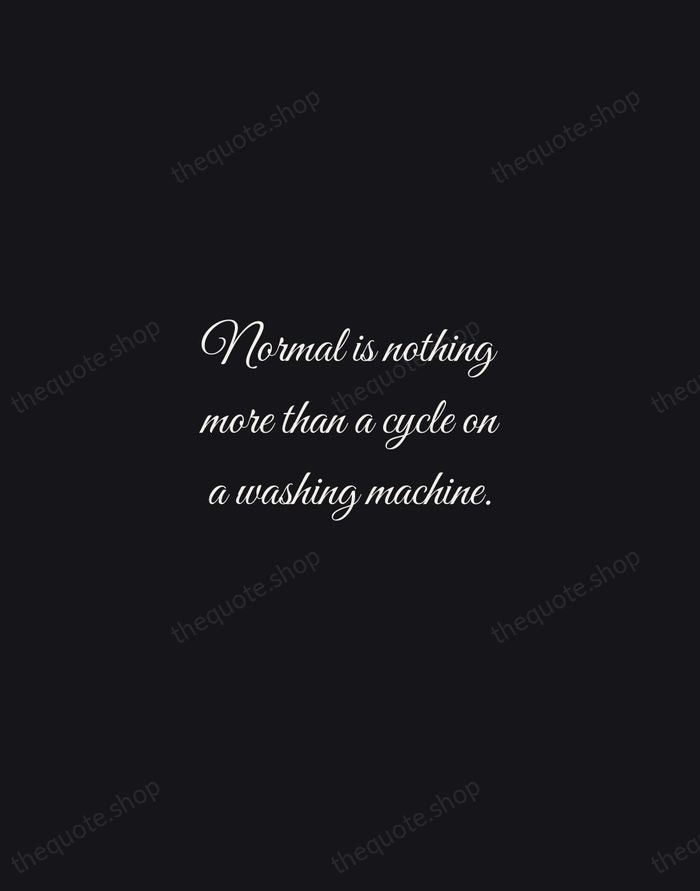 Normal is nothing more than a cycle on a washing machine. — Whoopi Goldberg — Night Script