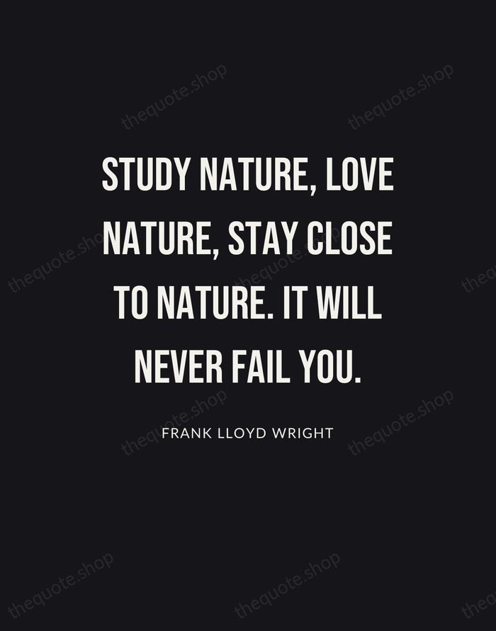 Study nature, love nature, stay close to nature. It will never fail… — Frank Lloyd Wright | Printable Wall Art — Poster Condensed