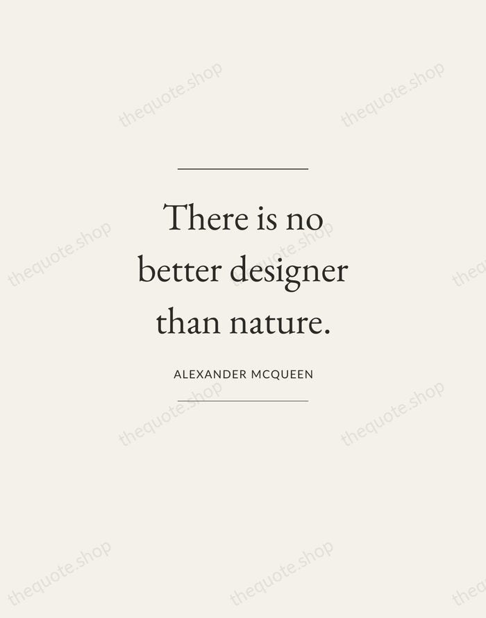 There is no better designer than nature. — Alexander McQueen — Gallery Frame