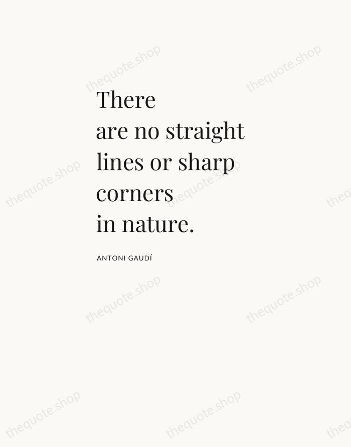 There are no straight lines or sharp corners in nature. — Antoni Gaudí — Asymmetric Left