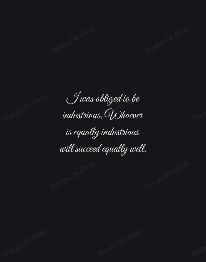 I was obliged to be industrious. Whoever is equally industrious will succeed… — Johann Sebastian Bach — Night Script