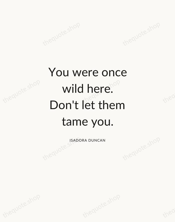 You were once wild here. Don't let them tame you. — Isadora Duncan — Modern Sans Calm