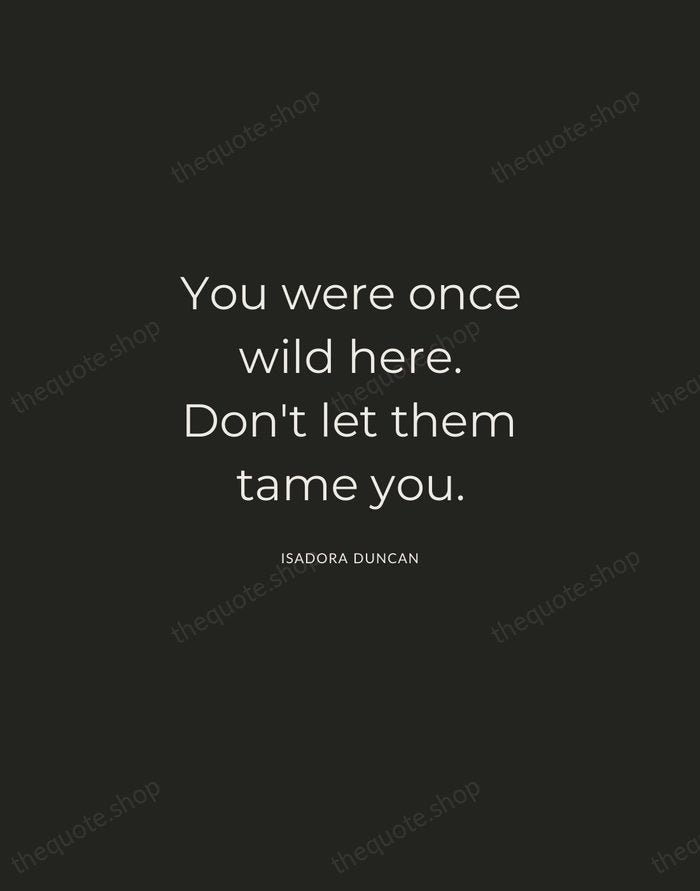 You were once wild here. Don't let them tame you. — Isadora Duncan — Charcoal Sans