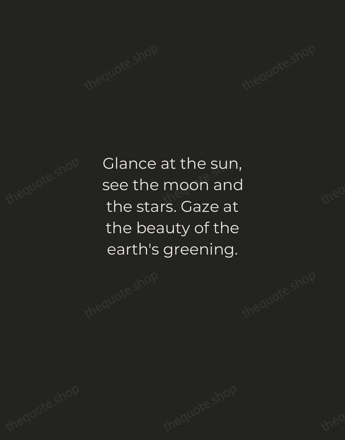 Glance at the sun, see the moon and the stars. Gaze at… — Hildegard of Bingen — Tracked Caps Unsigned