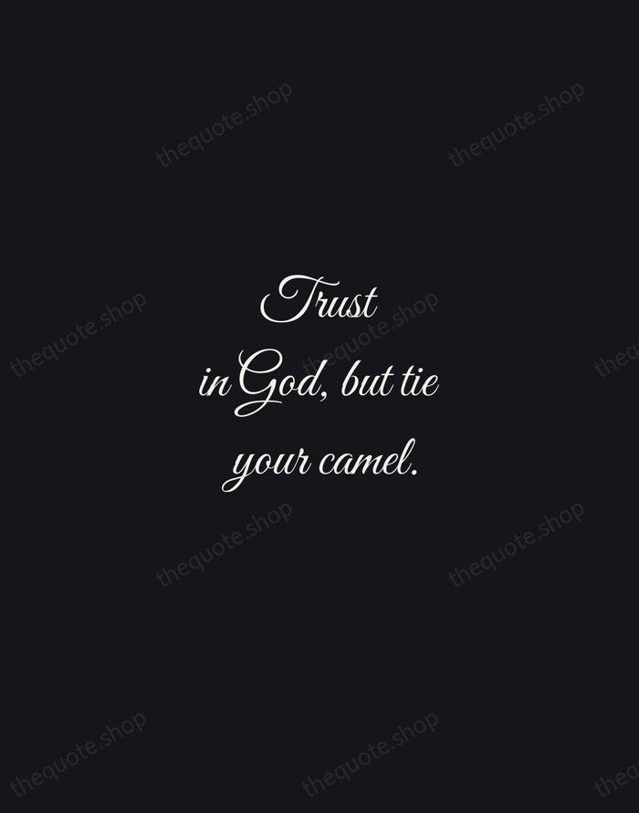 Trust in God, but tie your camel. — Al-Ghazali — Night Script