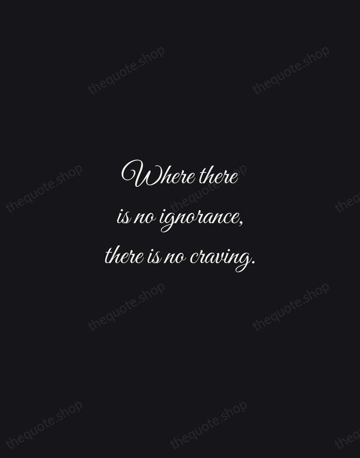 Where there is no ignorance, there is no craving. — Nagarjuna — Night Script