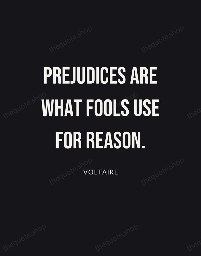 Prejudices are what fools use for reason. — Voltaire | Printable Wall Art — Poster Condensed
