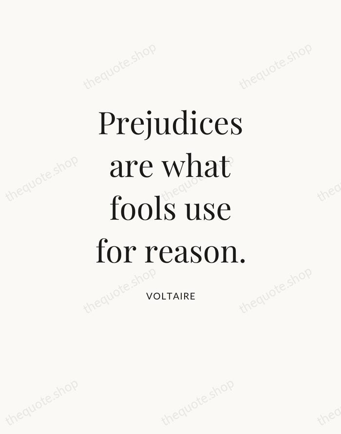 Prejudices are what fools use for reason. — Voltaire — Statement Serif