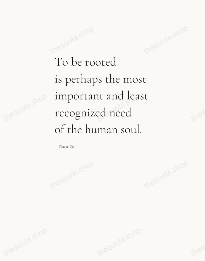To be rooted is perhaps the most important and least recognized need… — Simone Weil — Editorial Left Serif
