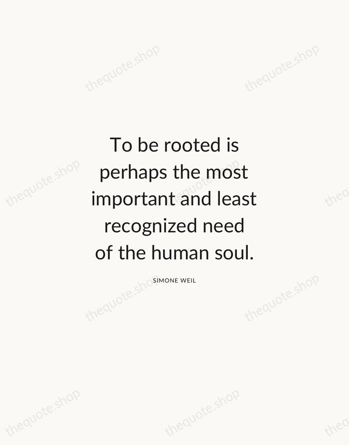 To be rooted is perhaps the most important and least recognized need… — Simone Weil — Modern Sans Calm