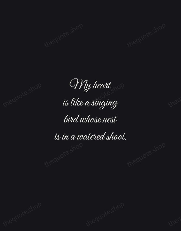 My heart is like a singing bird whose nest is in a… — Christina Rossetti — Night Script