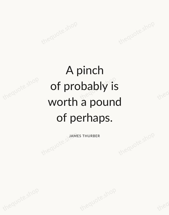 A pinch of probably is worth a pound of perhaps. — James Thurber — Modern Sans Calm