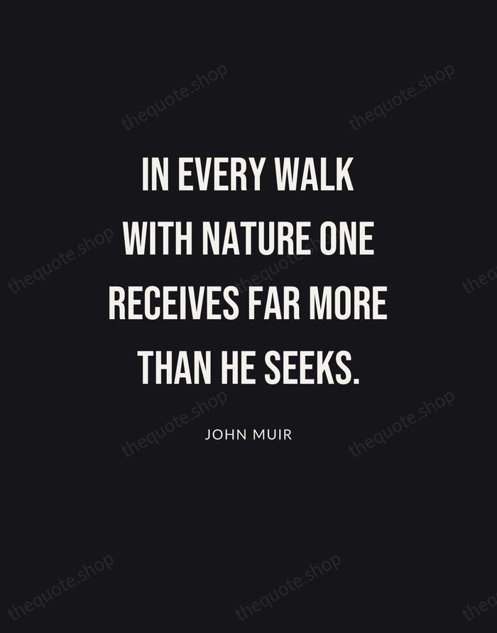 In every walk with nature one receives far more than he seeks. — John Muir | Printable Wall Art — Poster Condensed