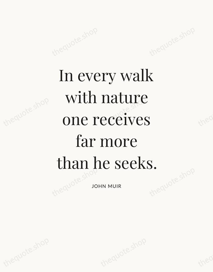 In every walk with nature one receives far more than he seeks. — John Muir — Statement Serif
