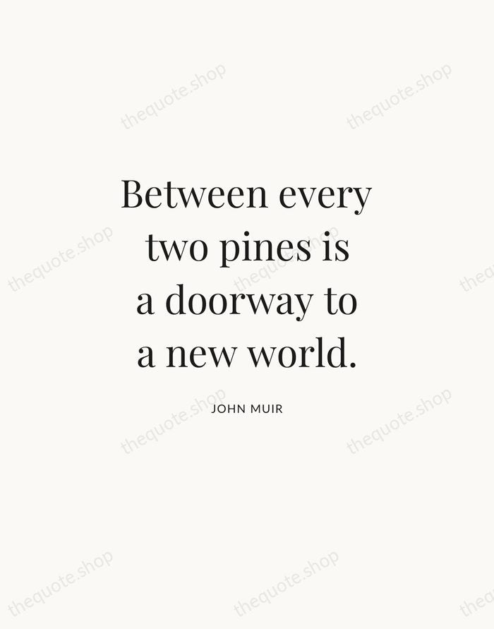 Between every two pines is a doorway to a new world. — John Muir | Printable Wall Art — Atelier Serif