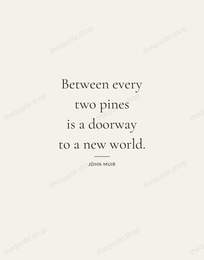 Between every two pines is a doorway to a new world. — John Muir — Gallery Rule