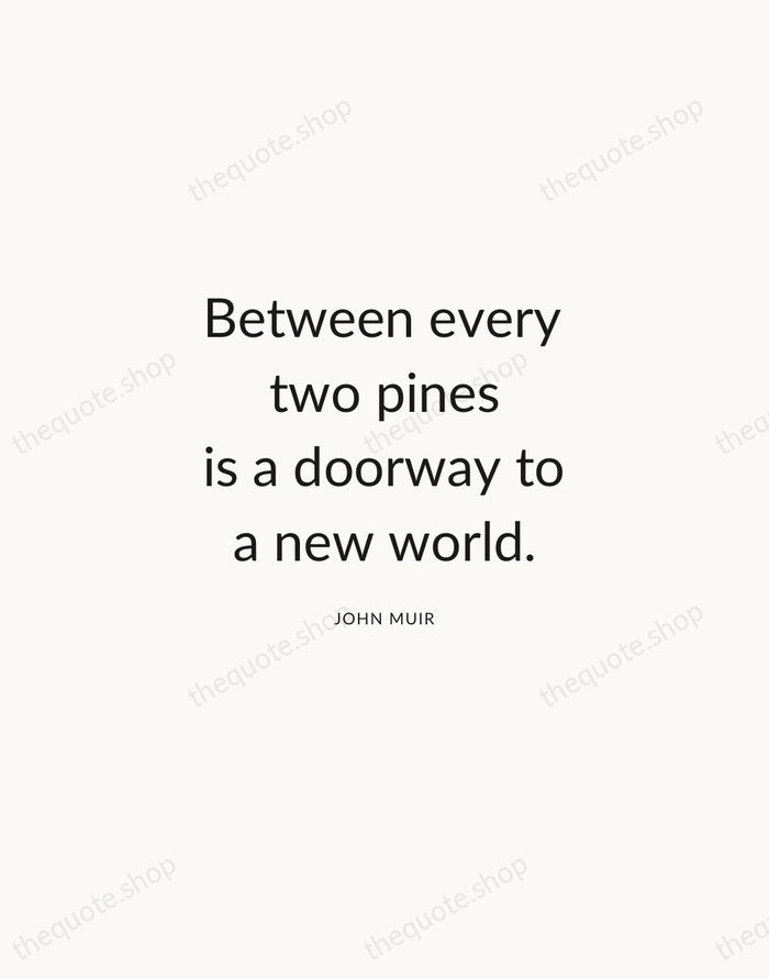 Between every two pines is a doorway to a new world. — John Muir — Modern Sans Calm