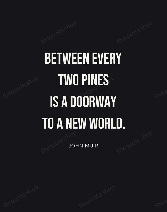 Between every two pines is a doorway to a new world. — John Muir | Printable Wall Art — Poster Condensed