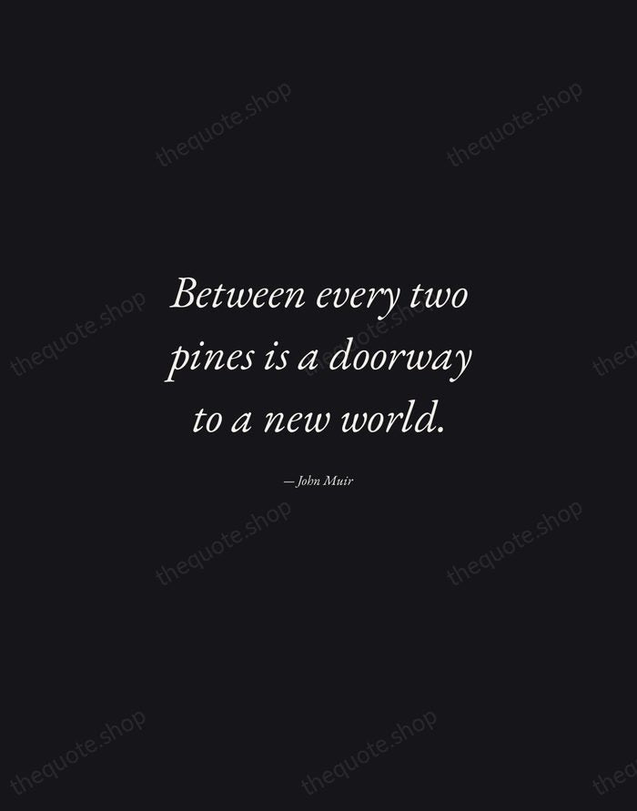 Between every two pines is a doorway to a new world. — John Muir — Manuscript Italic