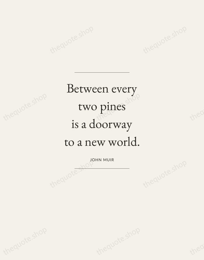 Between every two pines is a doorway to a new world. — John Muir — Gallery Frame