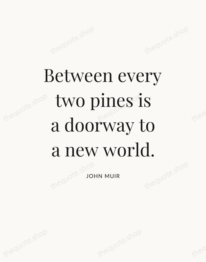 Between every two pines is a doorway to a new world. — John Muir — Statement Serif