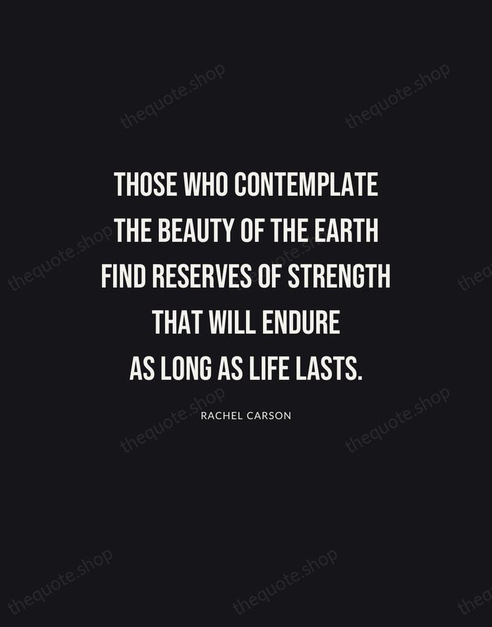 Those who contemplate the beauty of the earth find reserves of strength… — Rachel Carson | Printable Wall Art — Poster Condensed