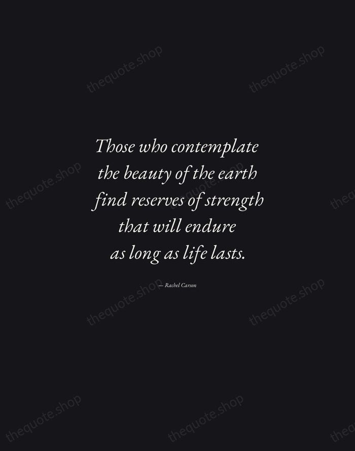 Those who contemplate the beauty of the earth find reserves of strength… — Rachel Carson — Manuscript Italic