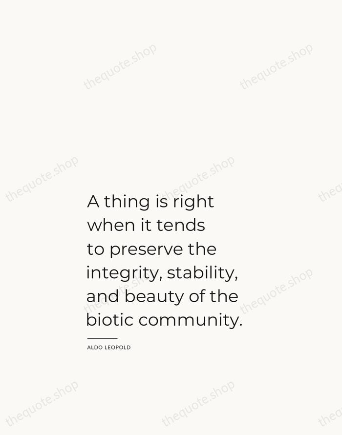 A thing is right when it tends to preserve the integrity, stability… — Aldo Leopold — Studio Left