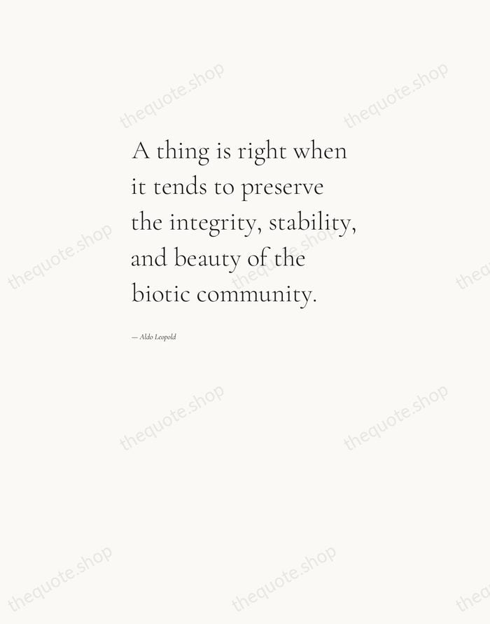 A thing is right when it tends to preserve the integrity, stability… — Aldo Leopold — Editorial Left Serif