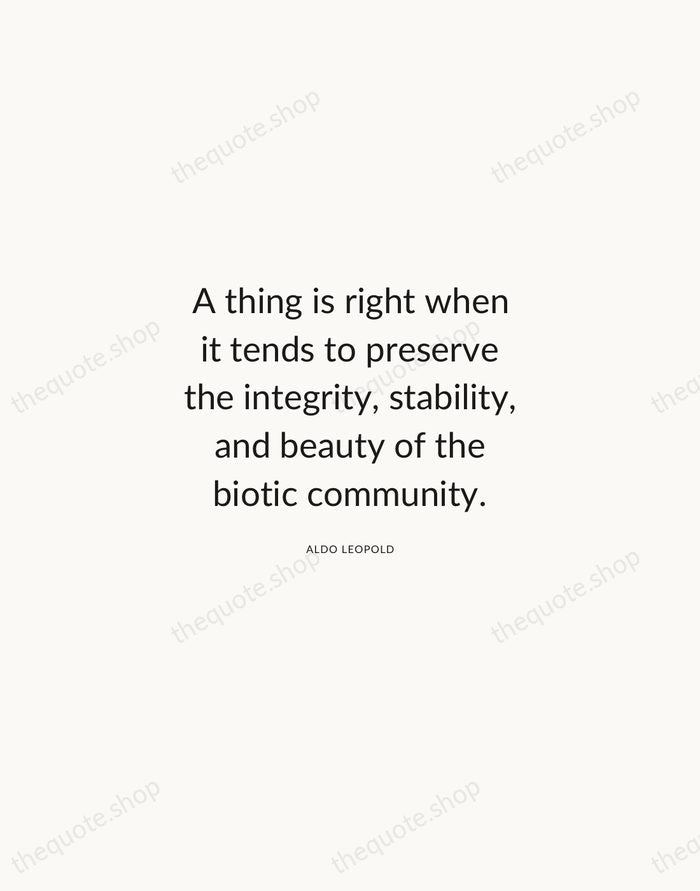 A thing is right when it tends to preserve the integrity, stability… — Aldo Leopold — Modern Sans Calm