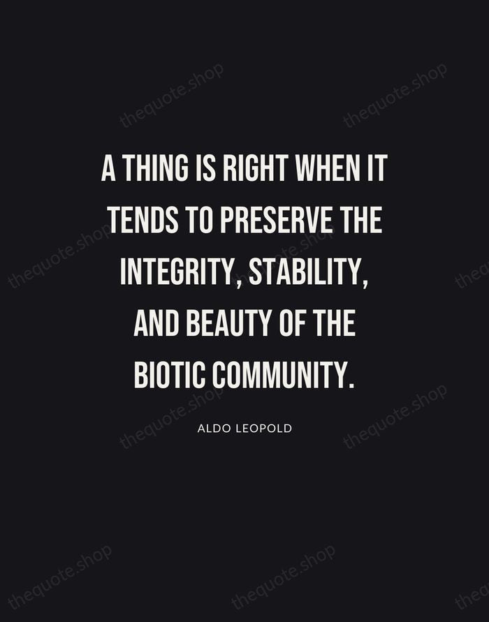 A thing is right when it tends to preserve the integrity, stability… — Aldo Leopold | Printable Wall Art — Poster Condensed
