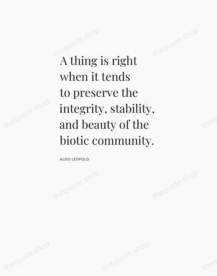 A thing is right when it tends to preserve the integrity, stability… — Aldo Leopold — Asymmetric Left