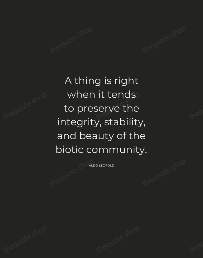 A thing is right when it tends to preserve the integrity, stability… — Aldo Leopold — Charcoal Sans