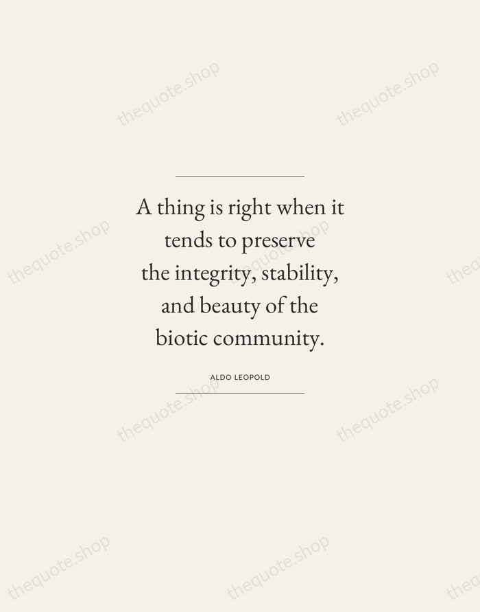 A thing is right when it tends to preserve the integrity, stability… — Aldo Leopold — Gallery Frame