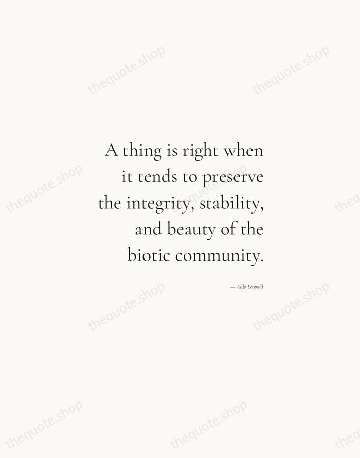 A thing is right when it tends to preserve the integrity, stability… — Aldo Leopold — Soft Serif Right