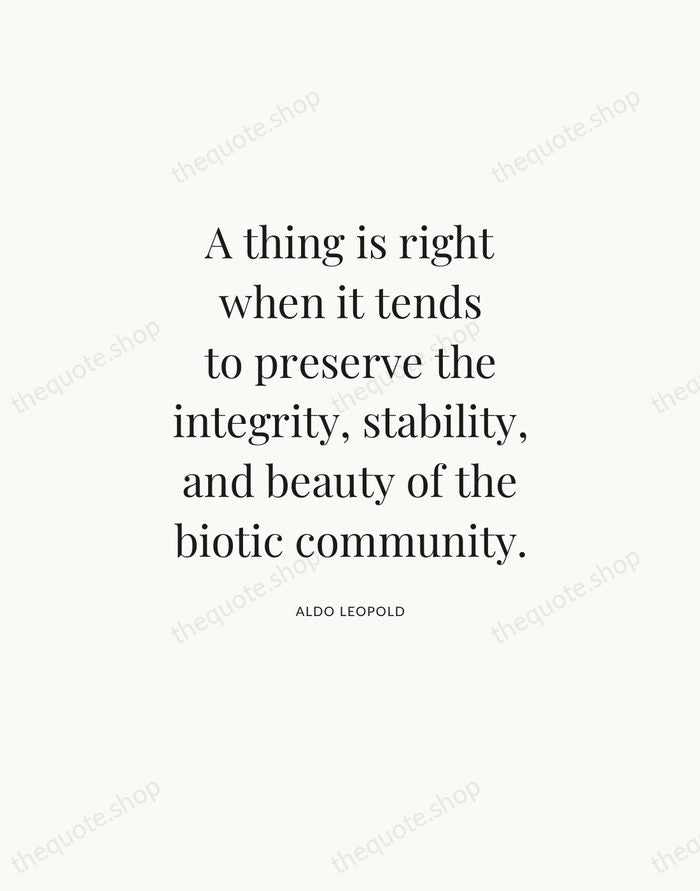 A thing is right when it tends to preserve the integrity, stability… — Aldo Leopold — Statement Serif