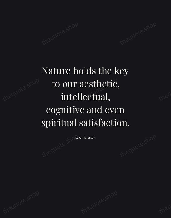 Nature holds the key to our aesthetic, intellectual, cognitive and even spiritual… — E. O. Wilson | Printable Wall Art — Midnight Serif