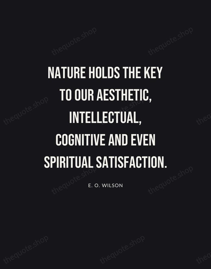 Nature holds the key to our aesthetic, intellectual, cognitive and even spiritual… — E. O. Wilson | Printable Wall Art — Poster Condensed