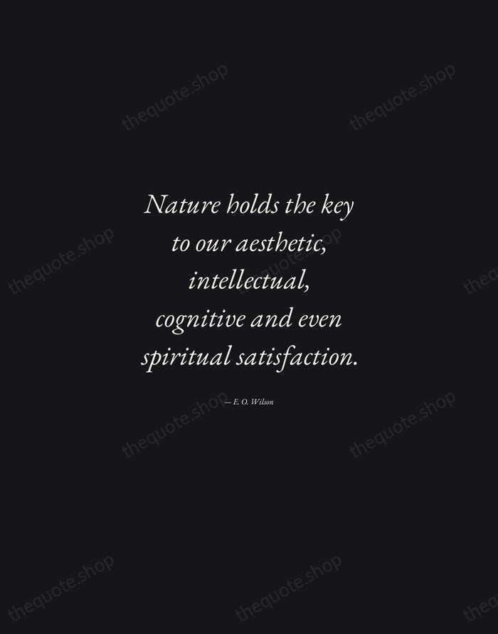 Nature holds the key to our aesthetic, intellectual, cognitive and even spiritual… — E. O. Wilson — Manuscript Italic