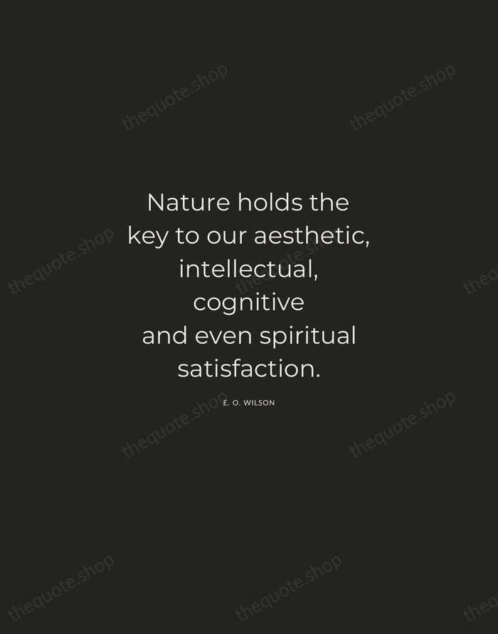 Nature holds the key to our aesthetic, intellectual, cognitive and even spiritual… — E. O. Wilson — Charcoal Sans