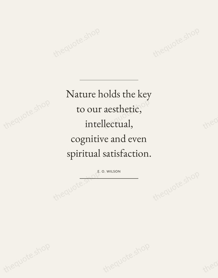 Nature holds the key to our aesthetic, intellectual, cognitive and even spiritual… — E. O. Wilson — Gallery Frame