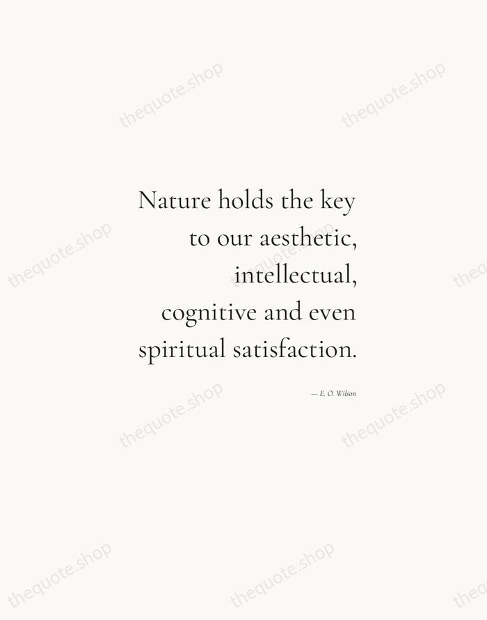 Nature holds the key to our aesthetic, intellectual, cognitive and even spiritual… — E. O. Wilson — Soft Serif Right