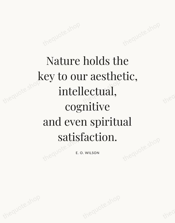 Nature holds the key to our aesthetic, intellectual, cognitive and even spiritual… — E. O. Wilson — Statement Serif