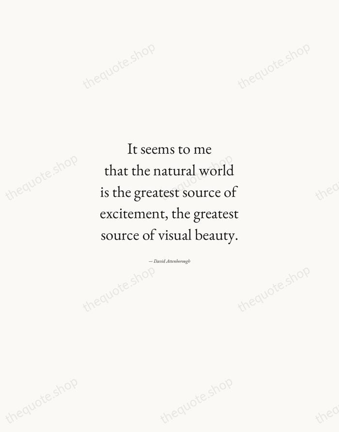 It seems to me that the natural world is the greatest source… — David Attenborough — Quiet Garamond
