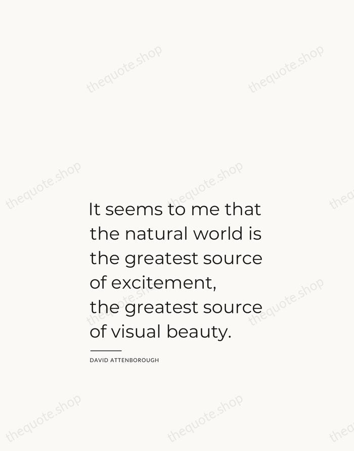 It seems to me that the natural world is the greatest source… — David Attenborough — Studio Left